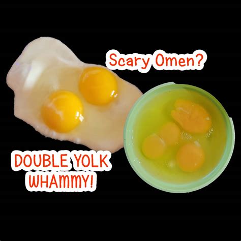 The role of double yolks in ancient divination practices